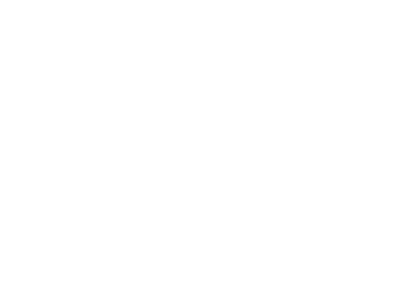 AVT GROUP