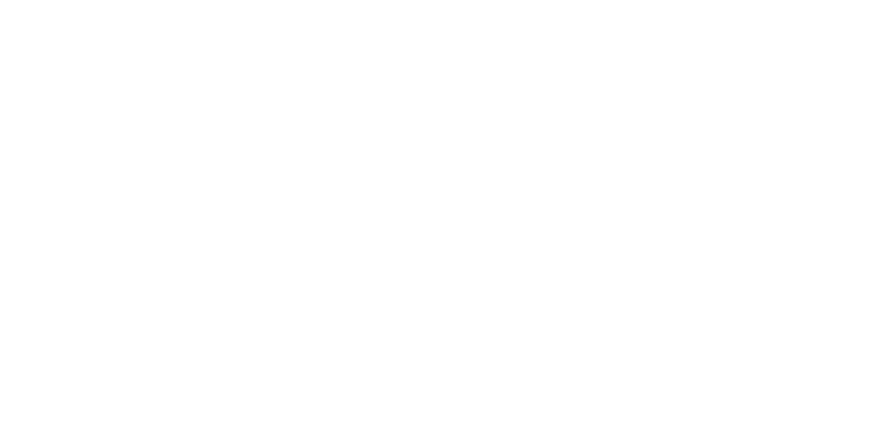 BLESK